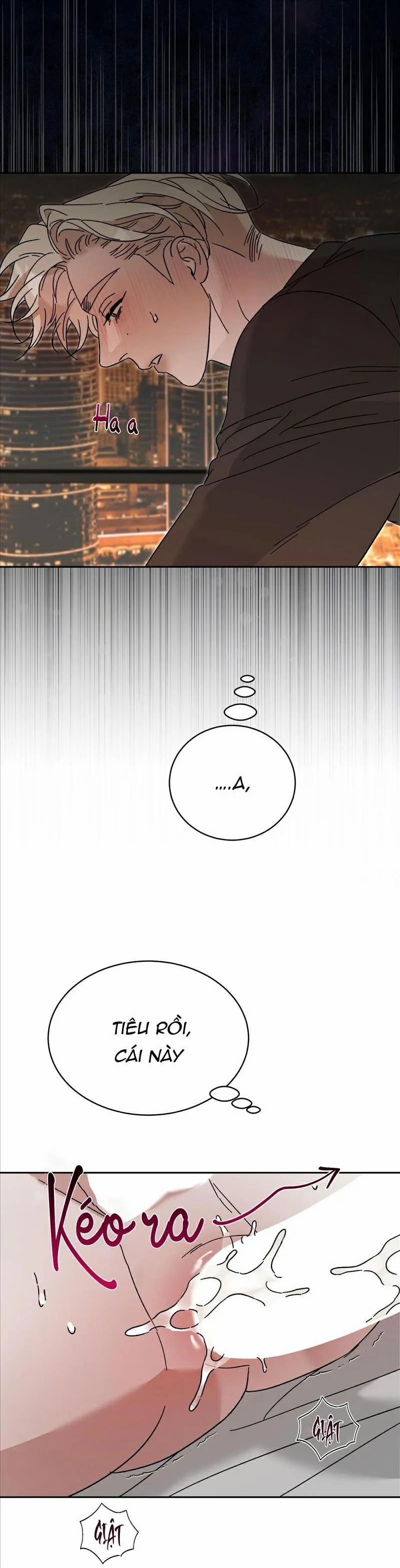 Không Phải Vợ Tôi Mà Là Tôi, Cậu Thấy Sao? 3 trang 16