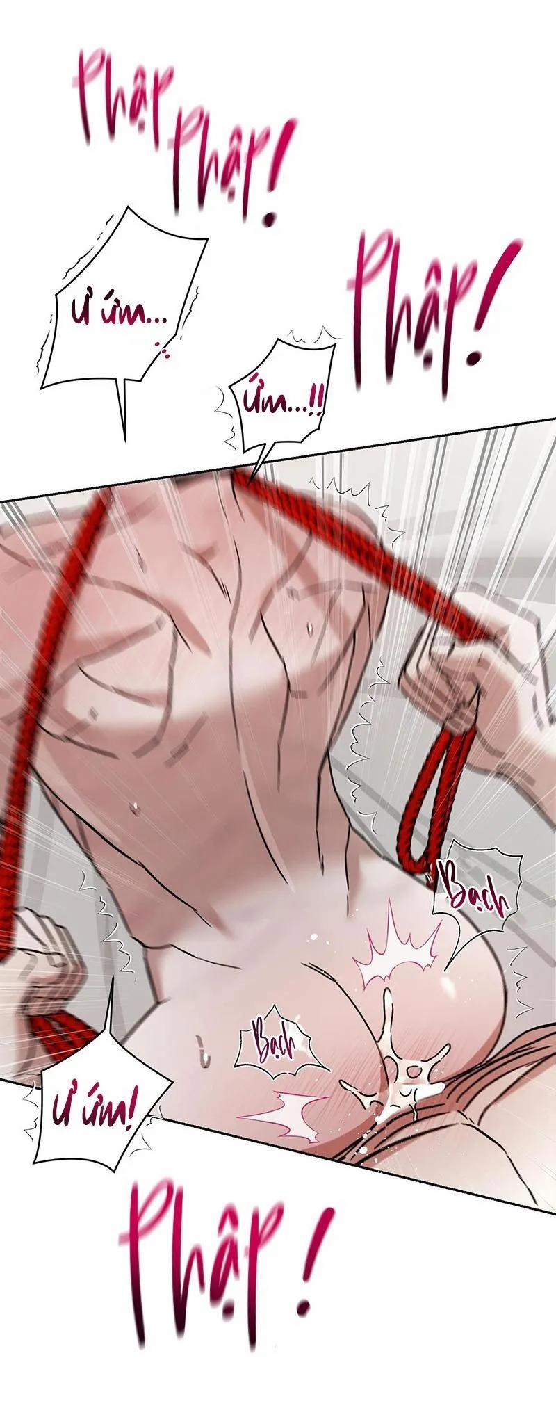 Không Phải Vợ Tôi Mà Là Tôi, Cậu Thấy Sao? 6 trang 47