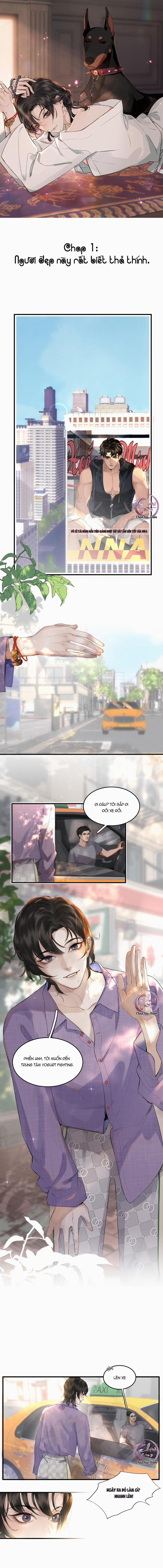 Không Thể Cưỡng Lại Người Yêu Dính Người 1 trang 0