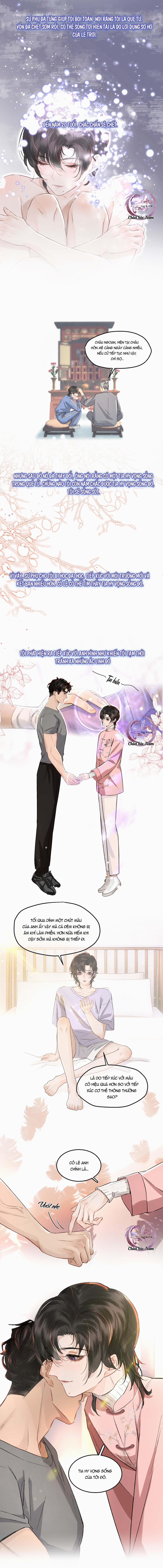 Không Thể Cưỡng Lại Người Yêu Dính Người 6 trang 5