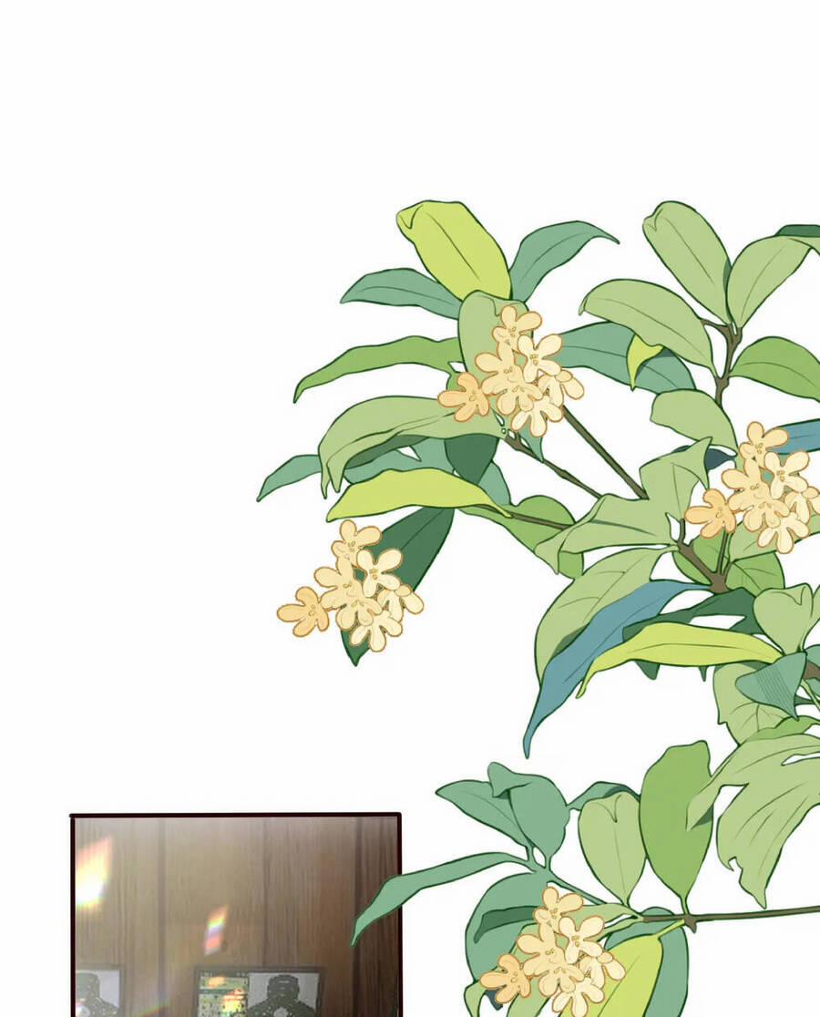 Không Thể Rời Mắt Khỏi Em 4.2 trang 25