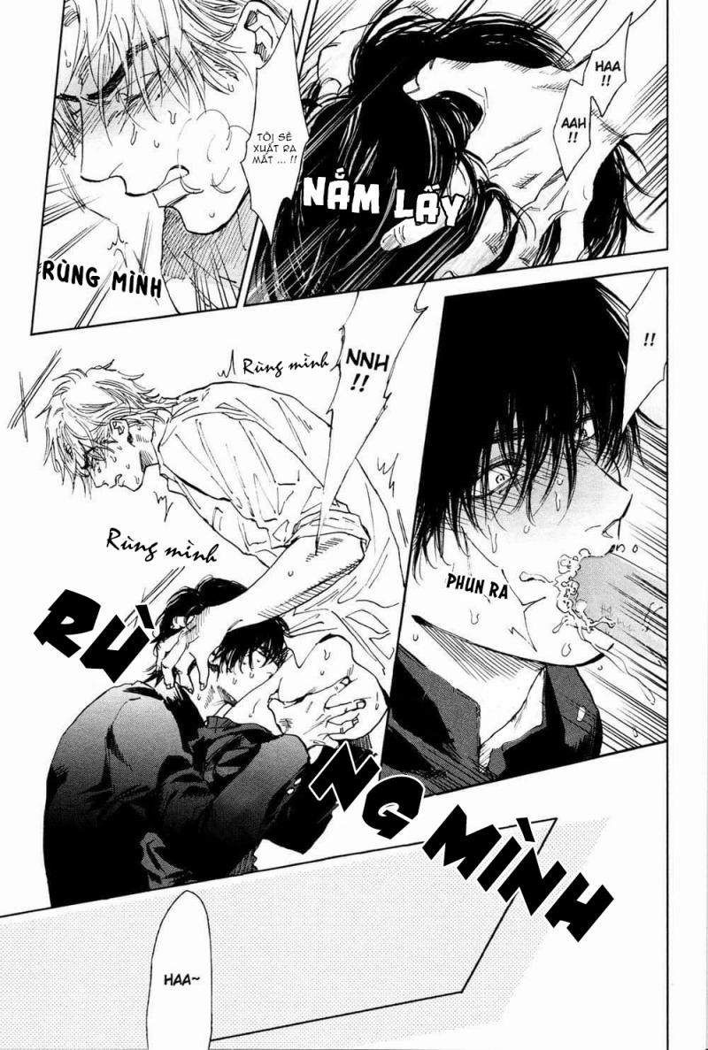 Không tình dược 0 trang 13