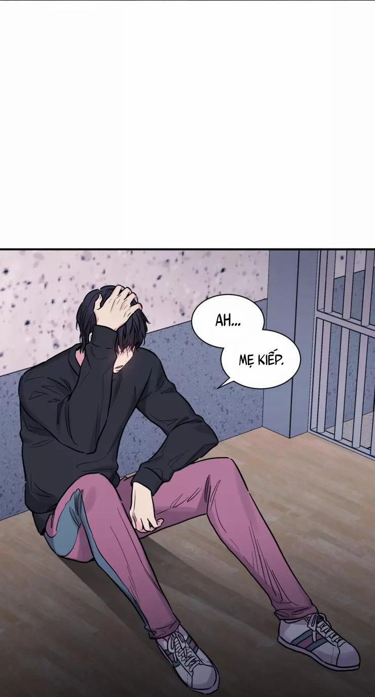 KHÔNG TƯỞNG 11 trang 59