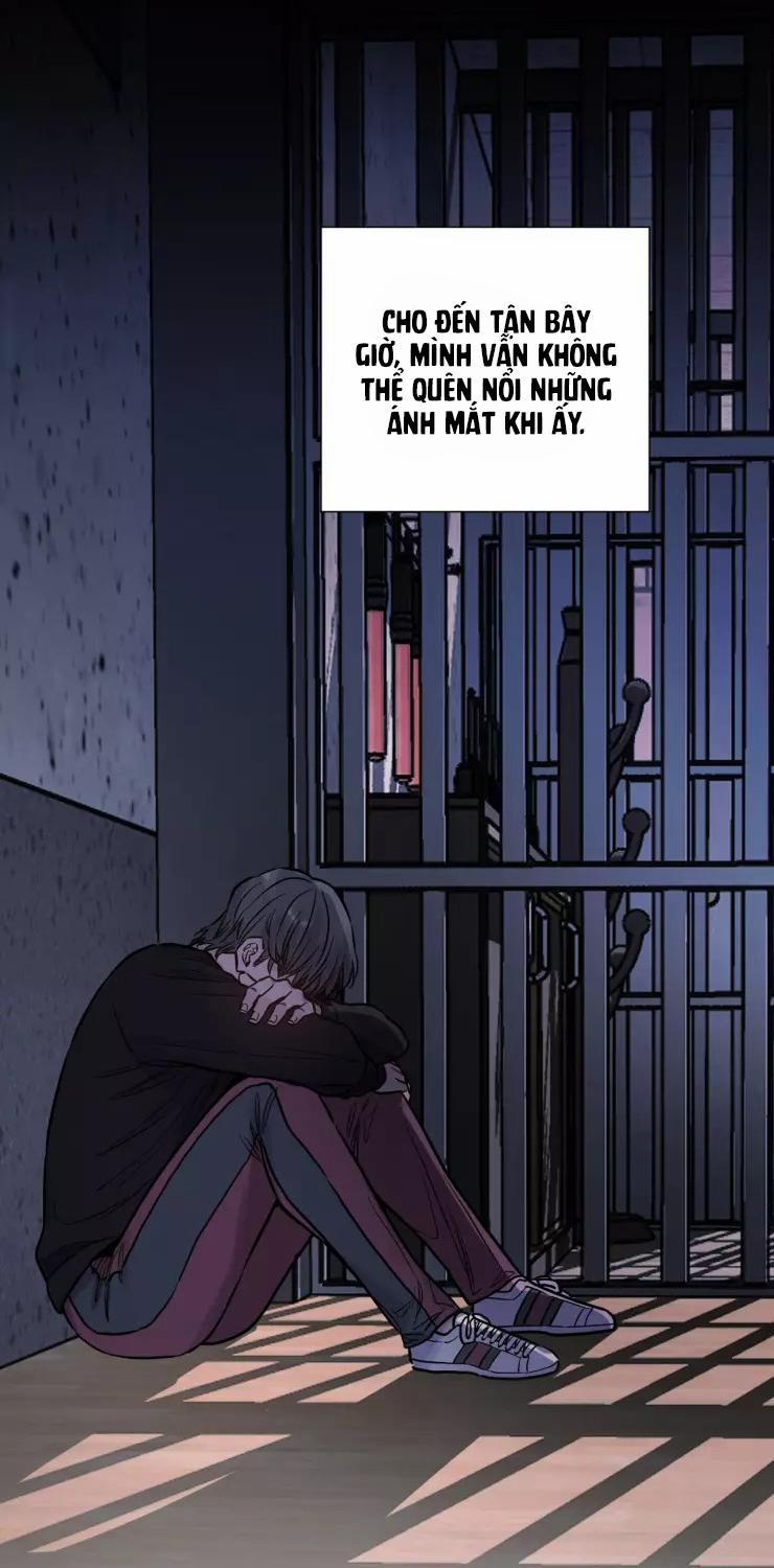 KHÔNG TƯỞNG 12 trang 43