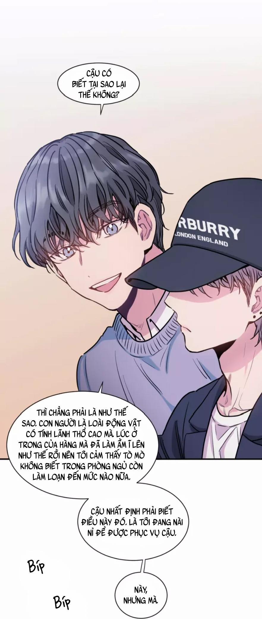 KHÔNG TƯỞNG 6 trang 11