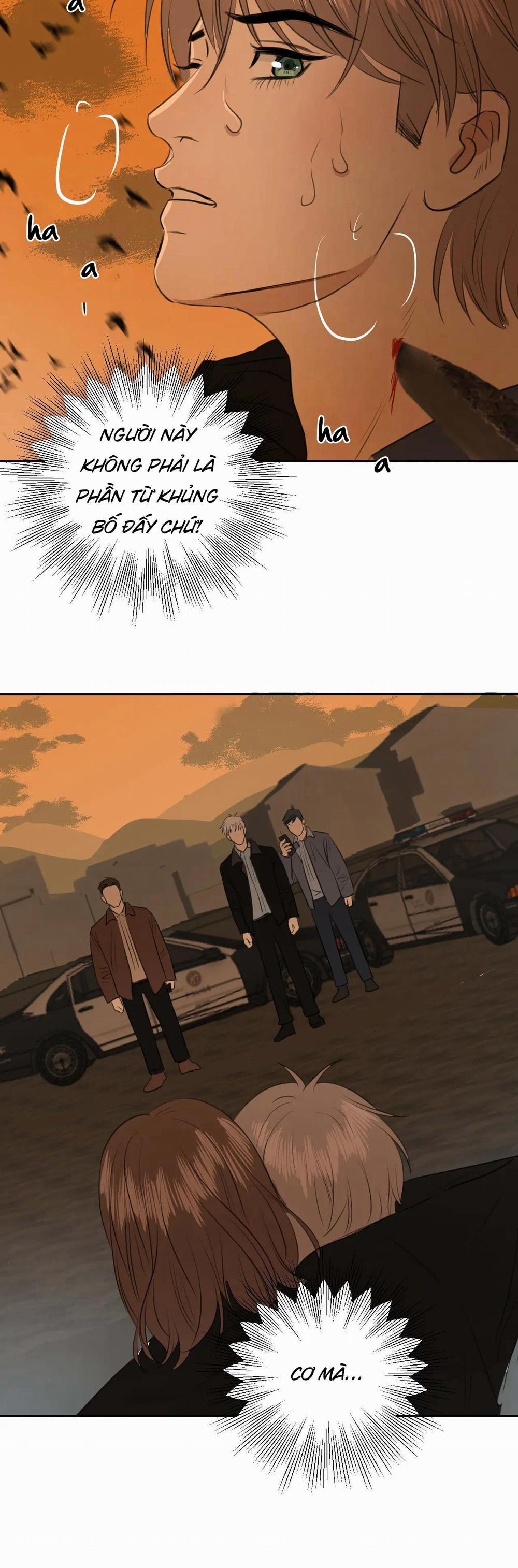 Không Tỳ Vết 23 trang 14