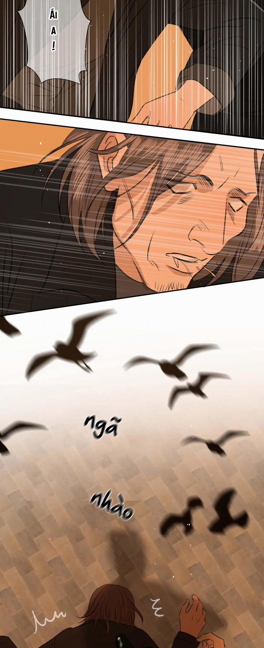 Không Tỳ Vết 23 trang 26