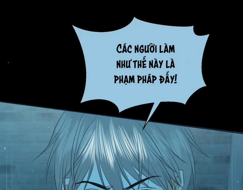 Không Tỳ Vết 29 trang 20