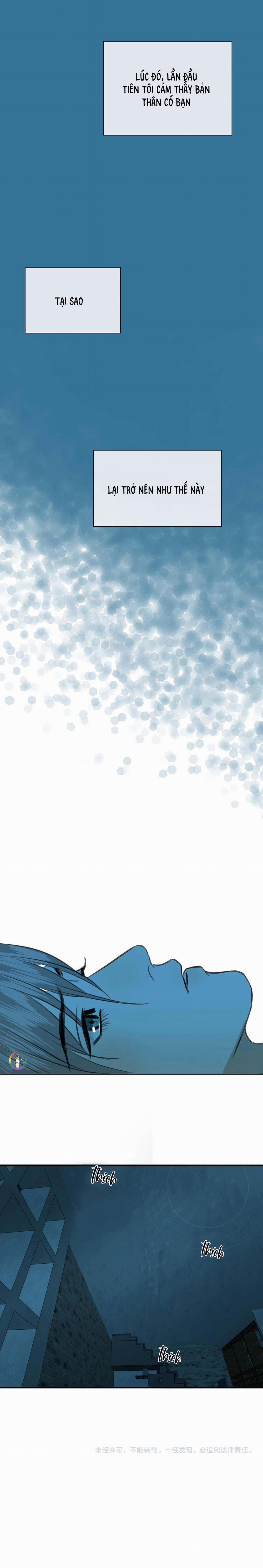 Không Tỳ Vết 31 trang 11