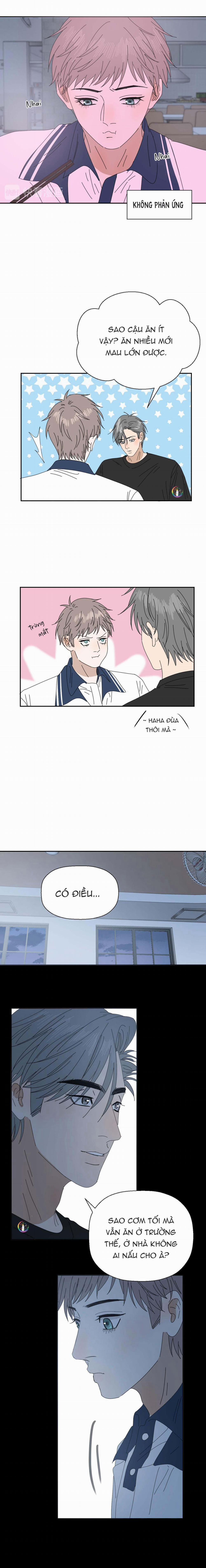 Không Tỳ Vết 31 trang 2