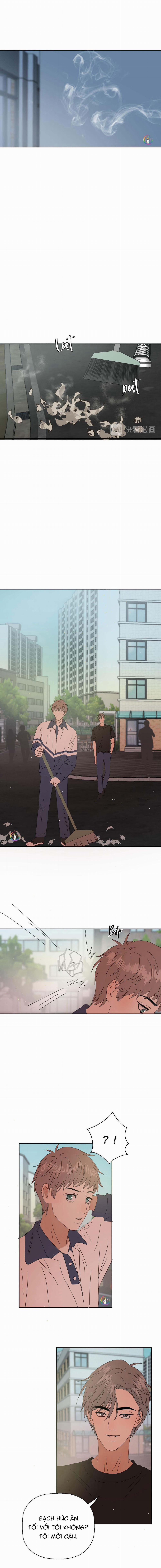 Không Tỳ Vết 31 trang 5