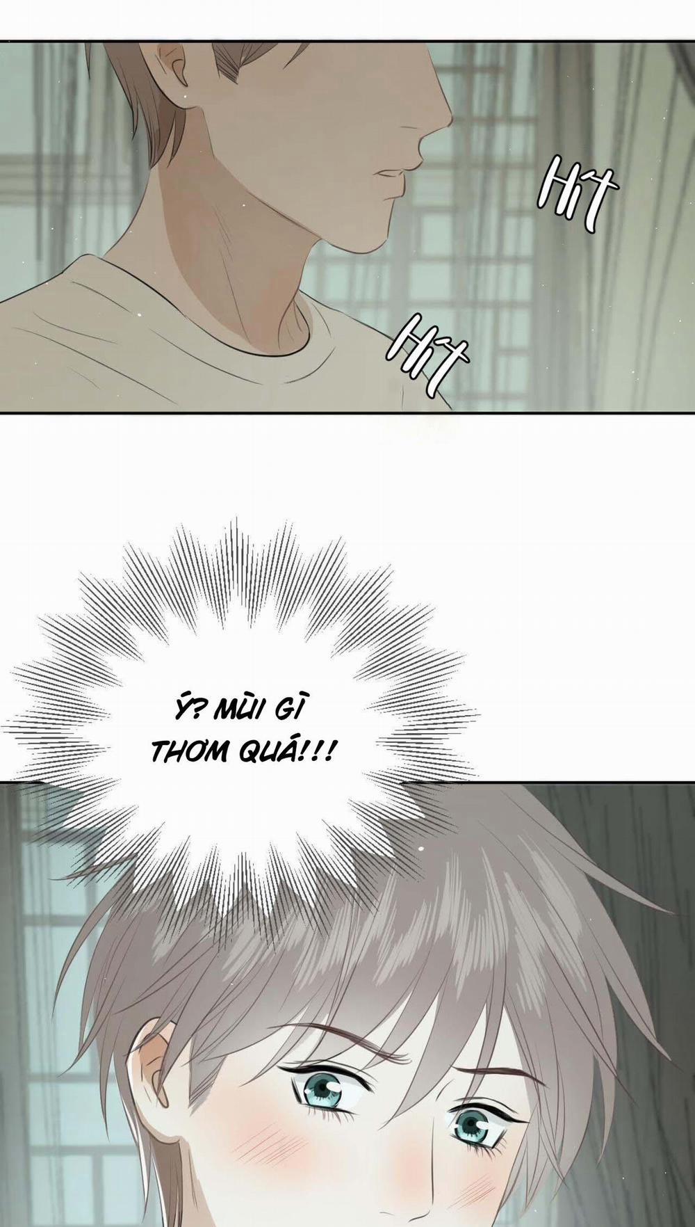 Không Tỳ Vết 5 trang 15