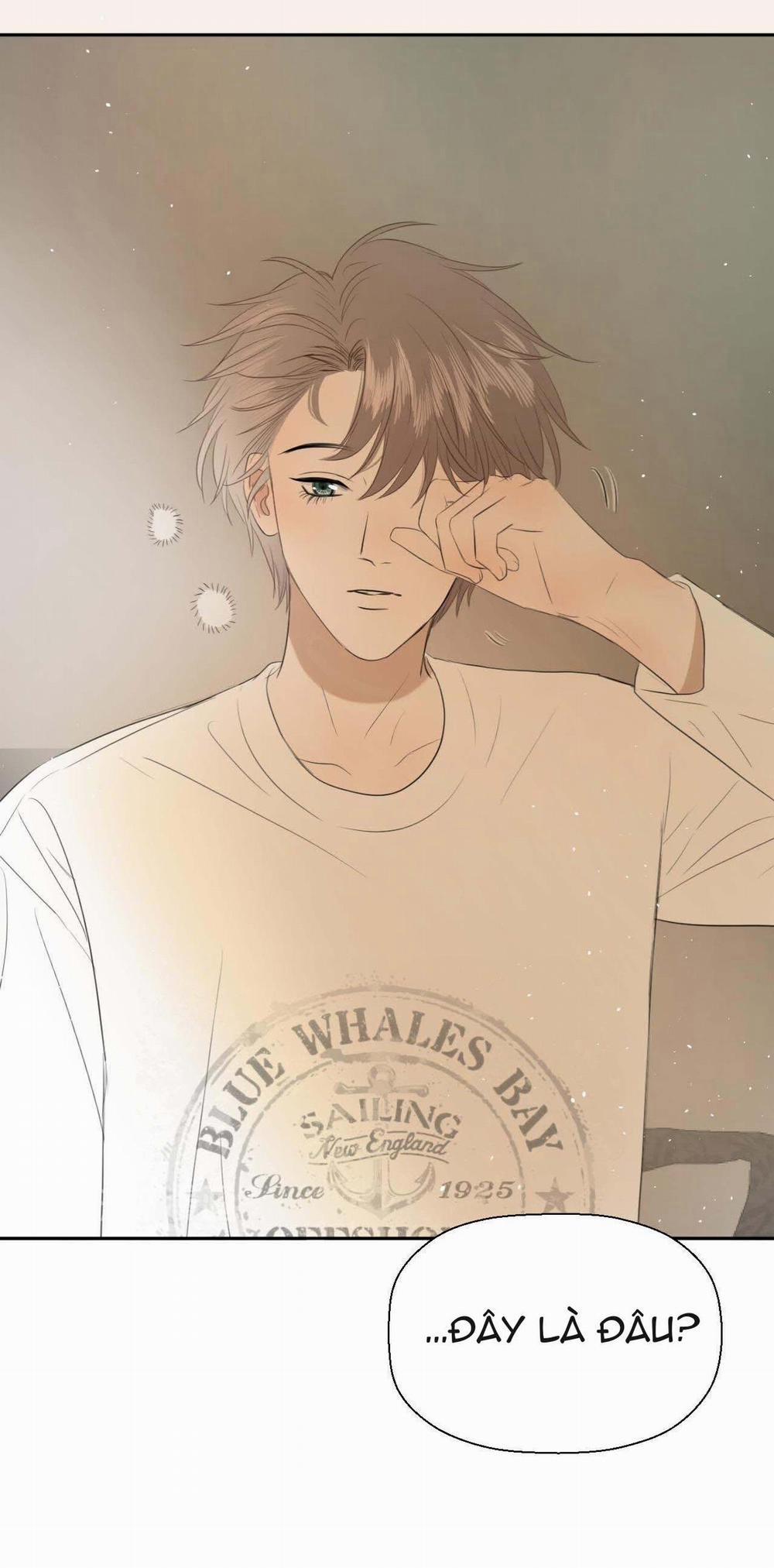 Không Tỳ Vết 5 trang 4