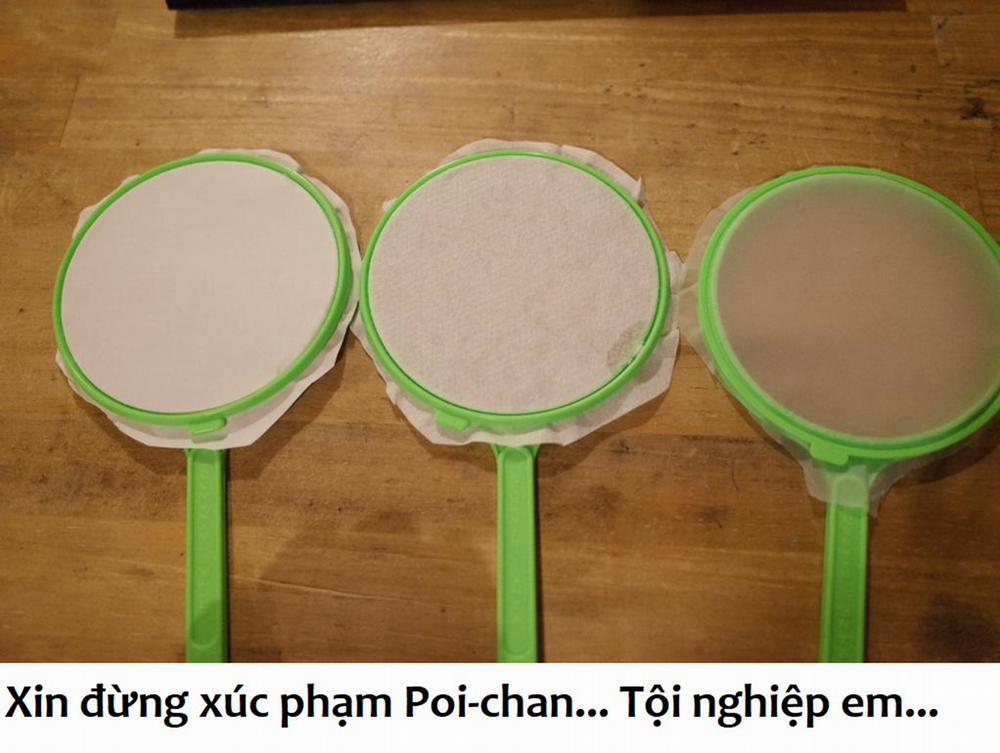 Không Xóa Sổ Con Người Được!! 9.2 trang 11