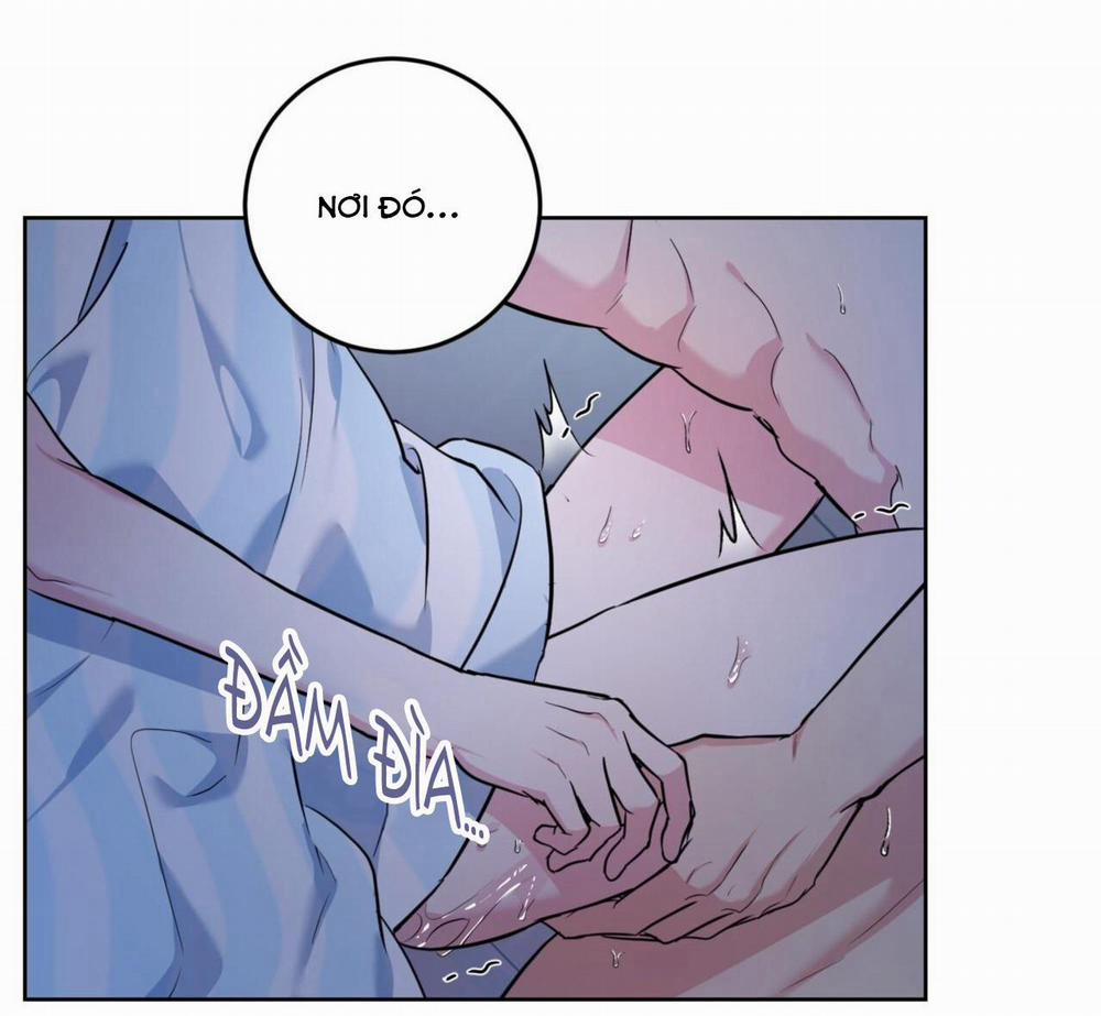 Khu Rừng Ngọt Ngào 17 trang 19