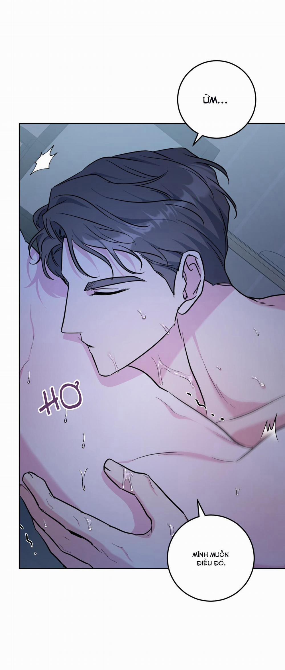 Khu Rừng Ngọt Ngào 17 trang 28