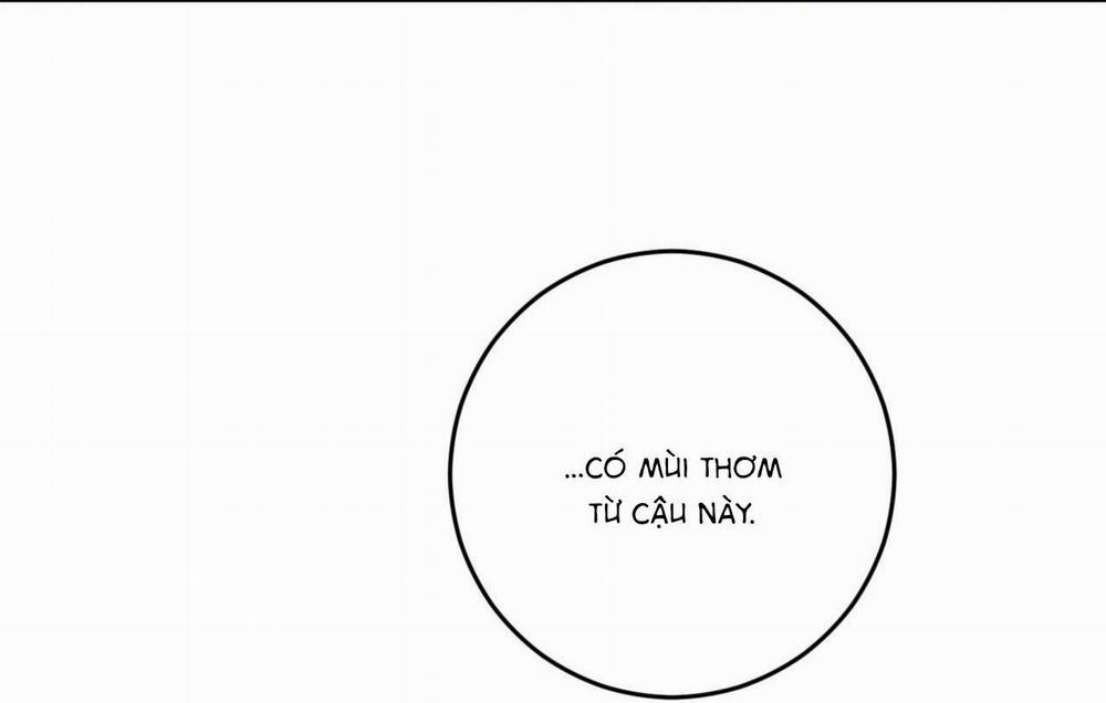 Khu Rừng Tĩnh Lặng 10 trang 138