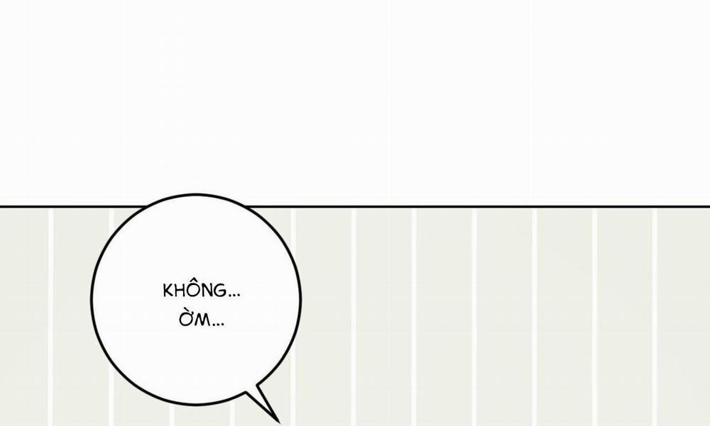 Khu Rừng Tĩnh Lặng 11 trang 41