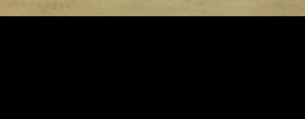 Khu Rừng Tĩnh Lặng 12 trang 2