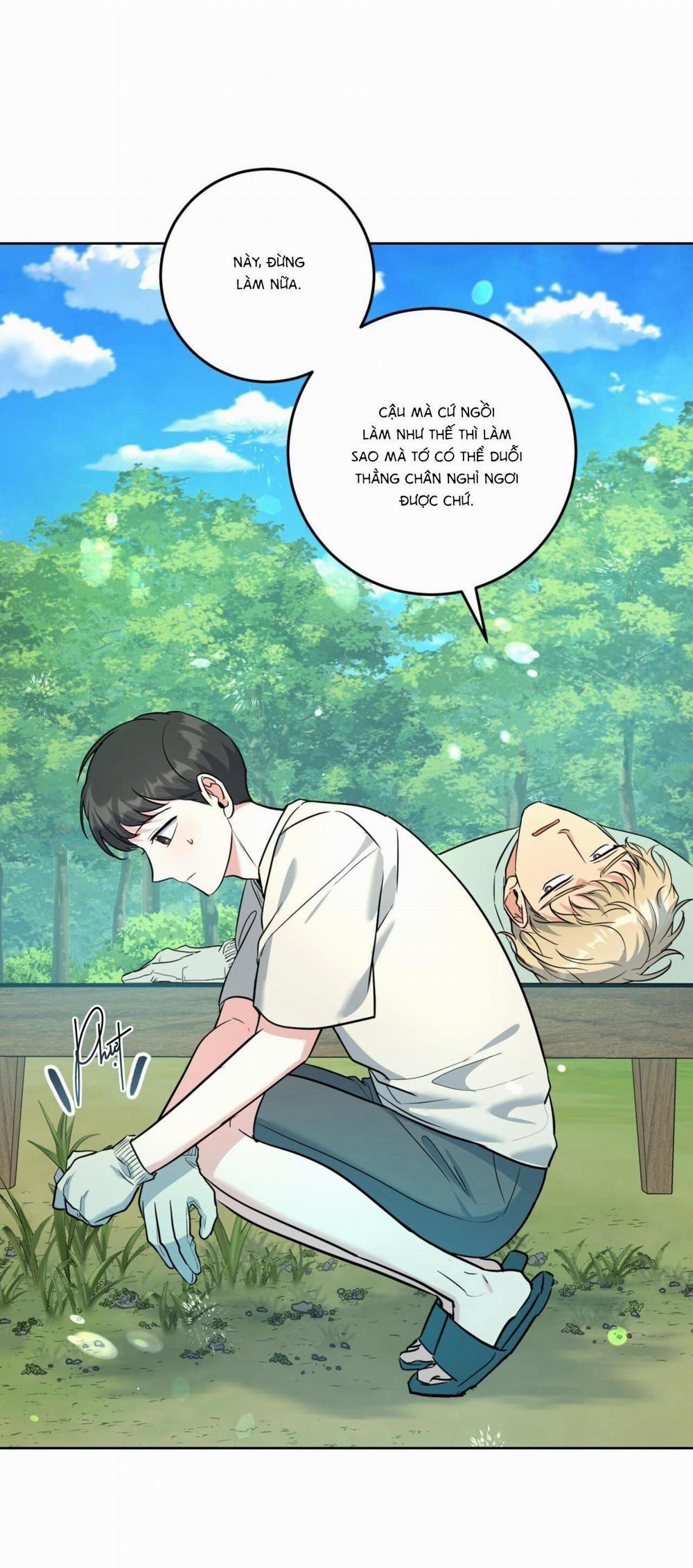 Khu Rừng Tĩnh Lặng 15 trang 4