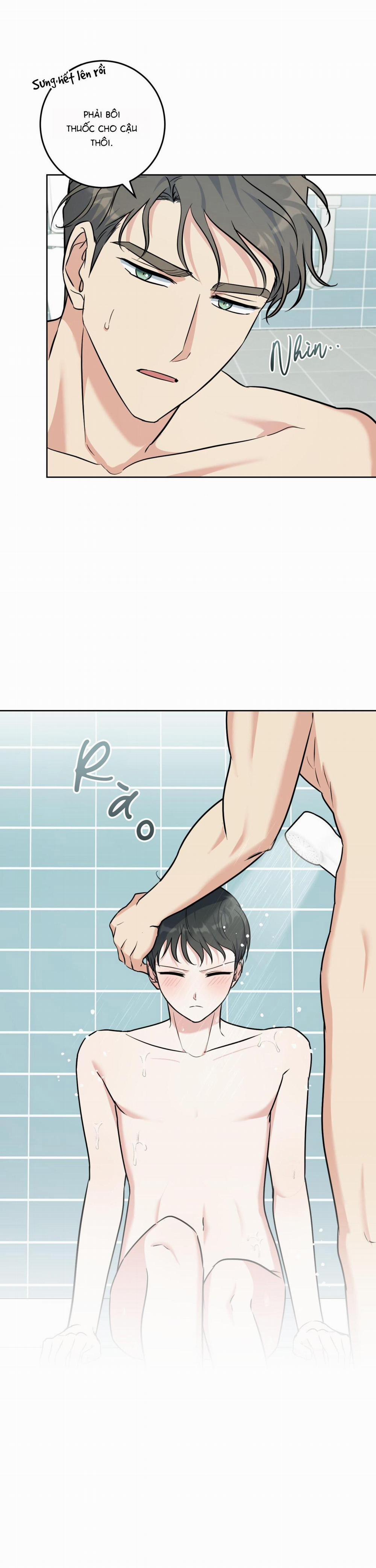 Khu Rừng Tĩnh Lặng 21 trang 4