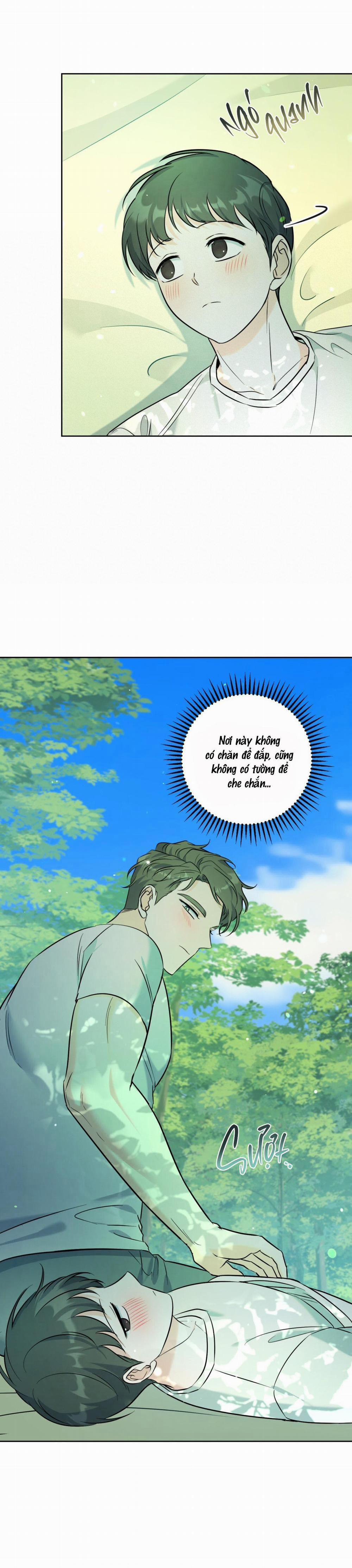 Khu Rừng Tĩnh Lặng 26 trang 47