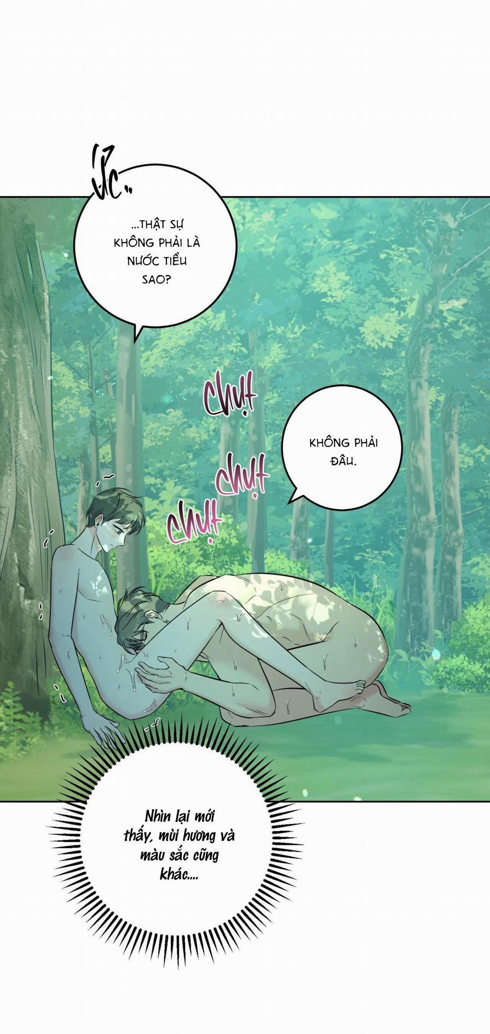 Khu Rừng Tĩnh Lặng 28 trang 12