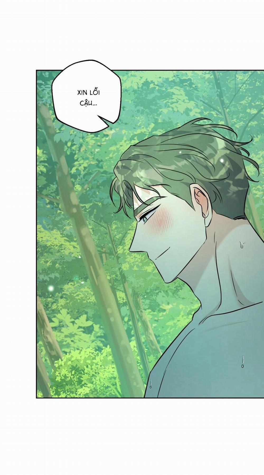 Khu Rừng Tĩnh Lặng 28 trang 4