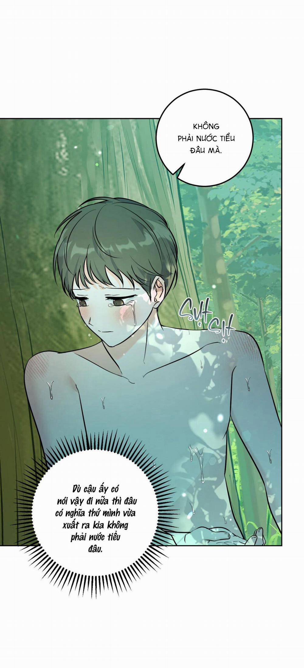 Khu Rừng Tĩnh Lặng 28 trang 5