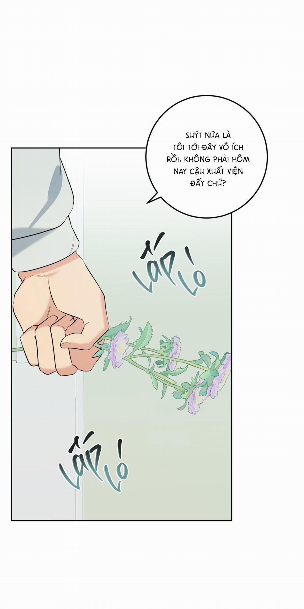 Khu Rừng Tĩnh Lặng 35 trang 30