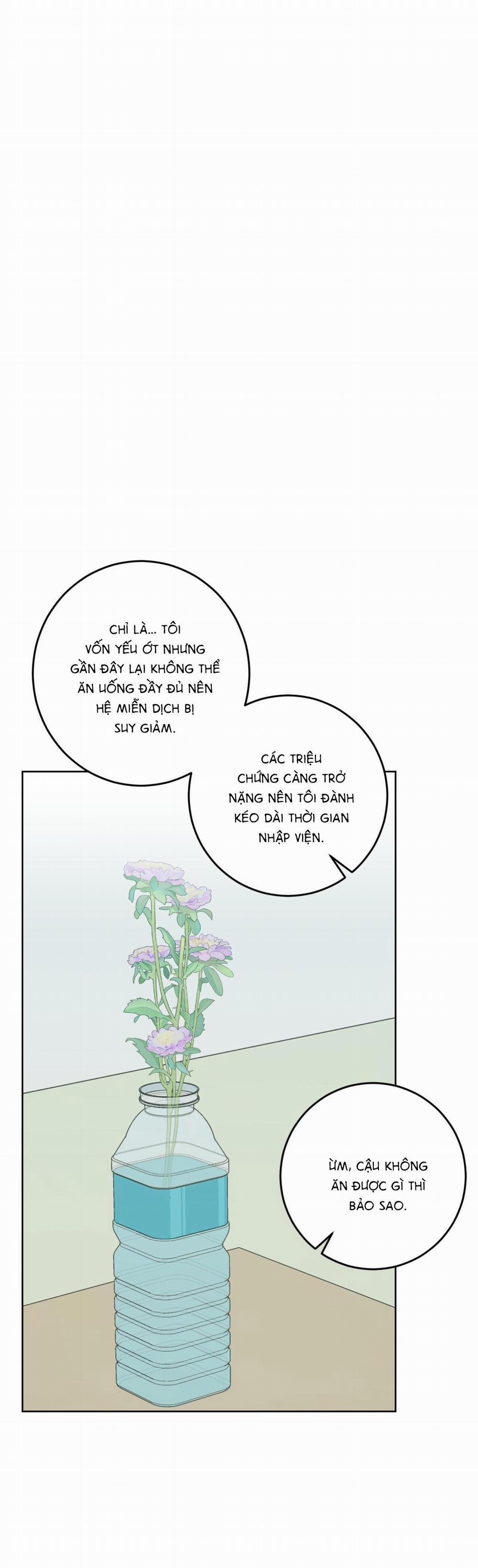 Khu Rừng Tĩnh Lặng 35 trang 33