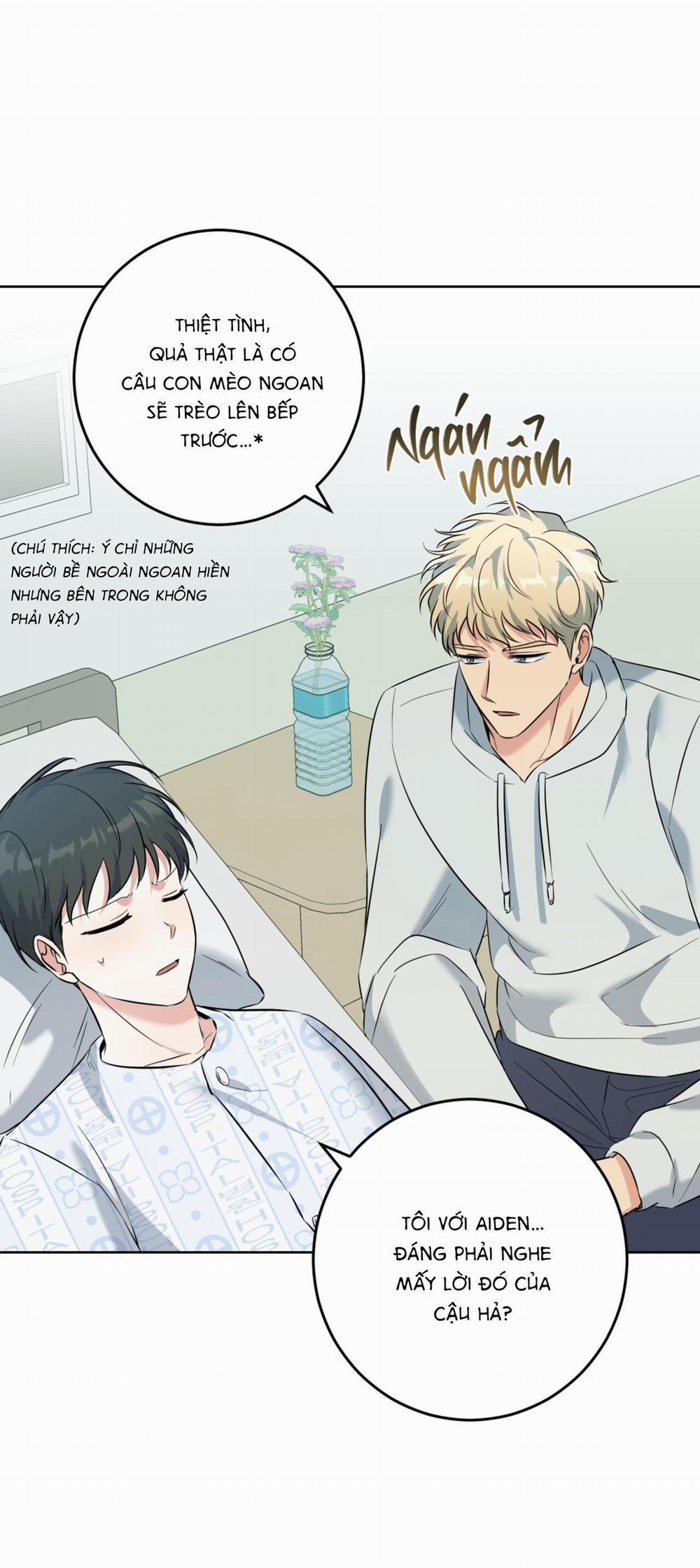 Khu Rừng Tĩnh Lặng 35 trang 34