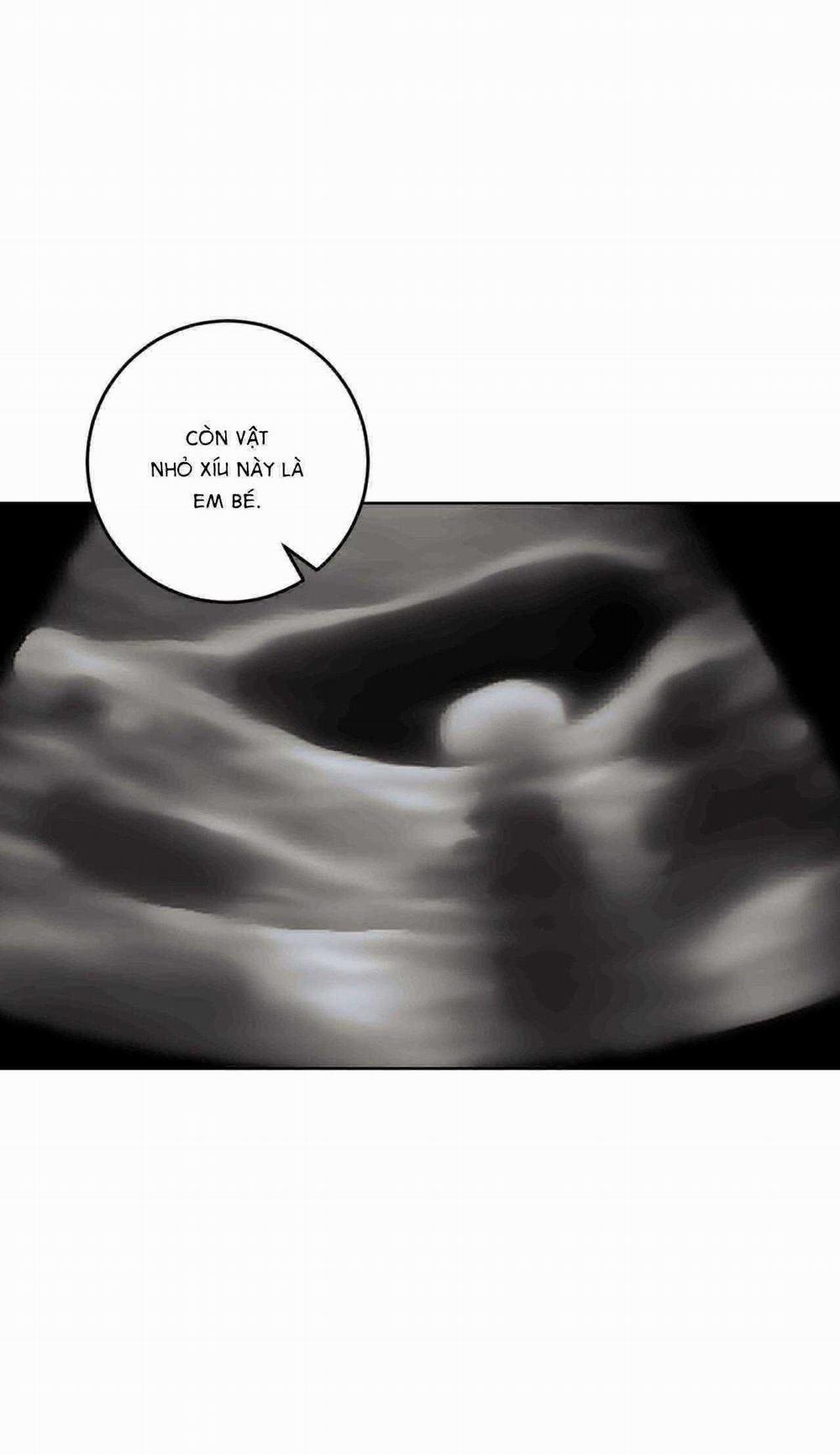 Khu Rừng Tĩnh Lặng 38 trang 4