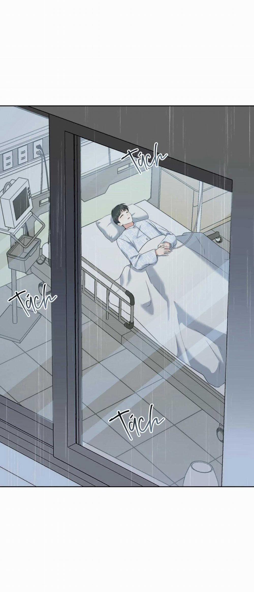 Khu Rừng Tĩnh Lặng 40 trang 1