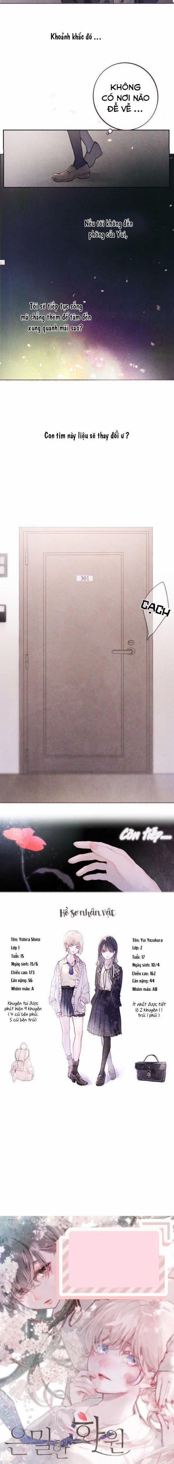 Khu Vườn Bí Mật 6 trang 8