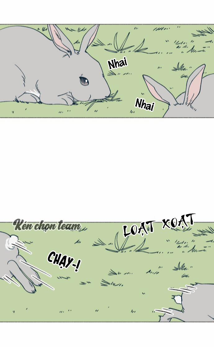 Khu Vườn Của Dam 5 trang 19