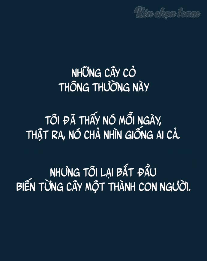 Khu Vườn Của Dam 6 trang 40