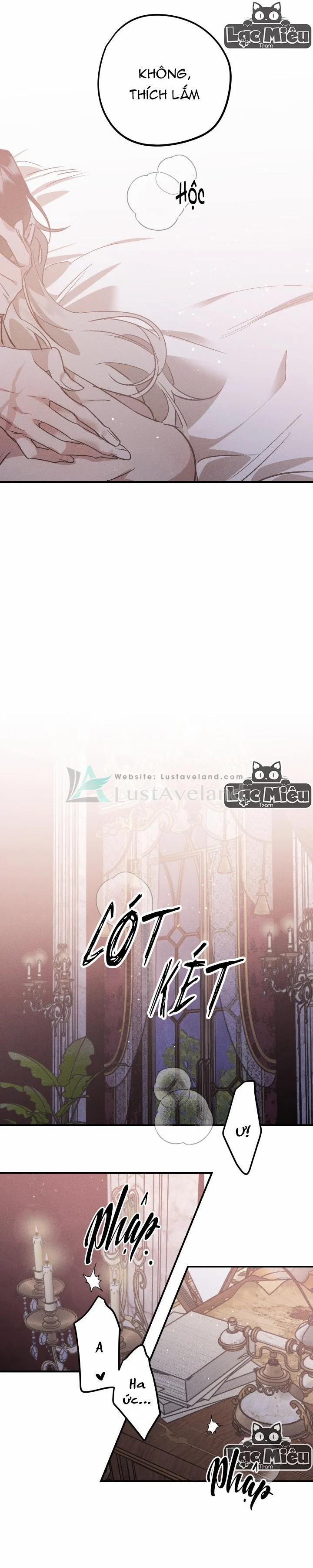 Khu Vườn Hoa Lavender 0 End trang 2