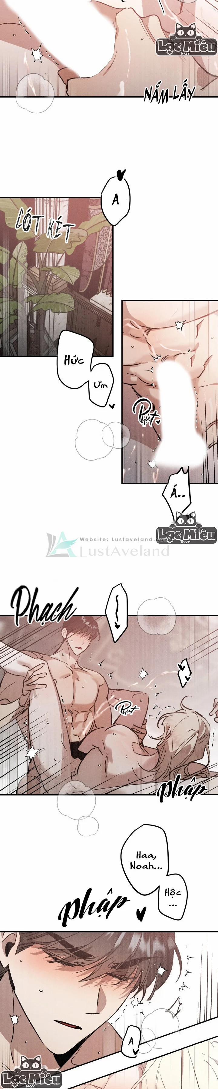 Khu Vườn Hoa Lavender 0 End trang 6