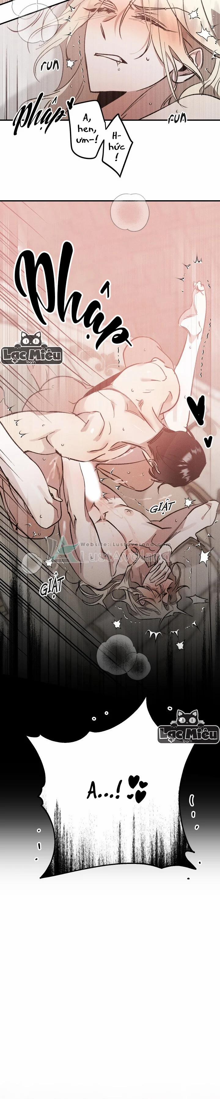 Khu Vườn Hoa Lavender 0 End trang 7