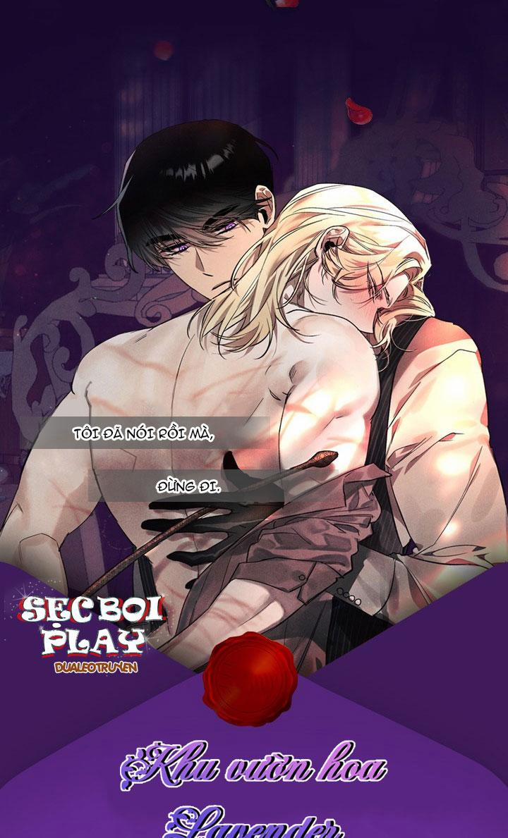 Khu Vườn Hoa Lavender 0 trang 0