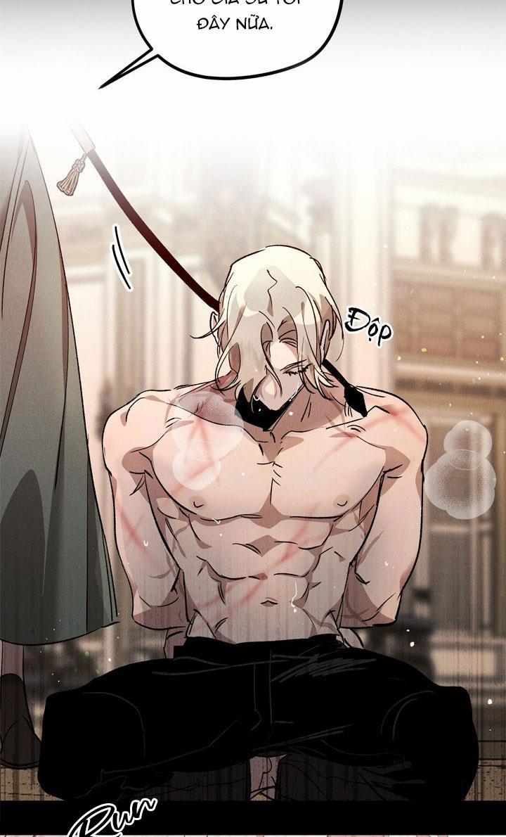 Khu Vườn Hoa Lavender 0 trang 3