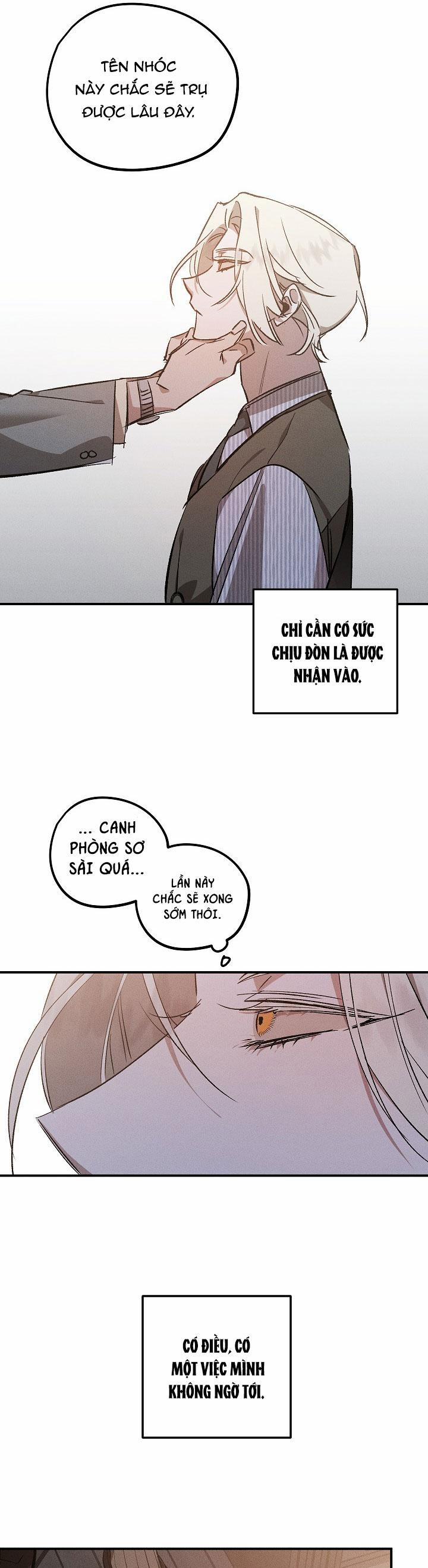 Khu Vườn Hoa Lavender 2 trang 13