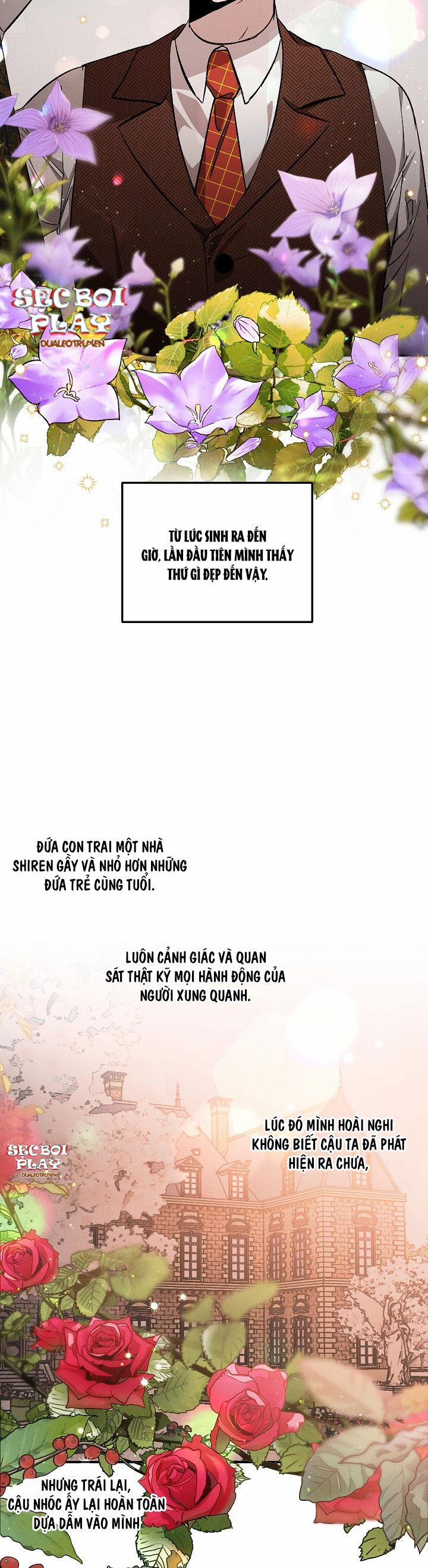 Khu Vườn Hoa Lavender 2 trang 15