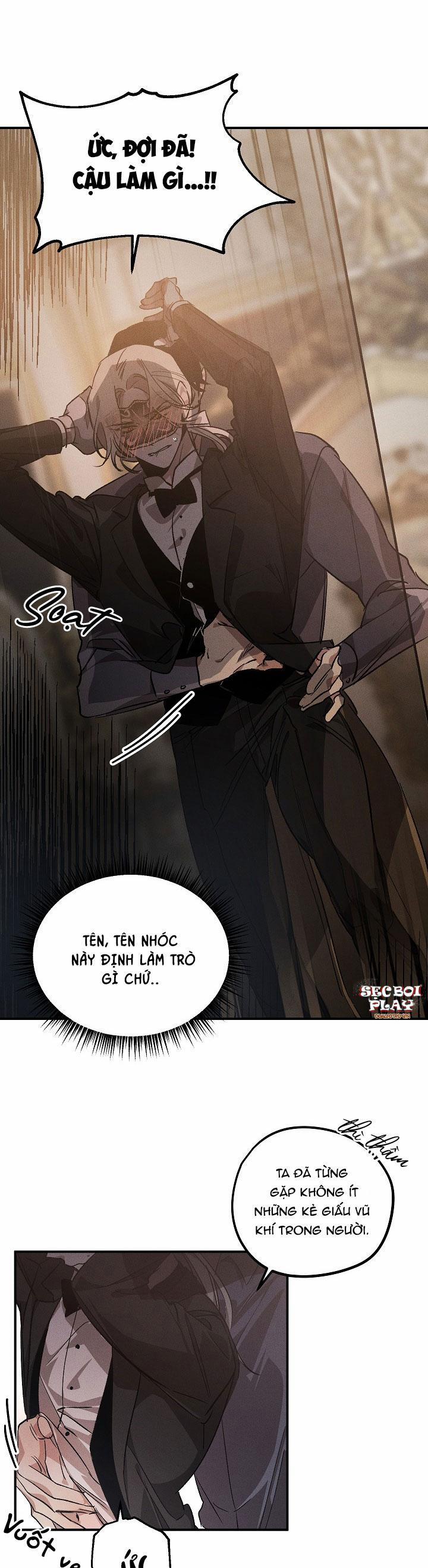 Khu Vườn Hoa Lavender 2 trang 6