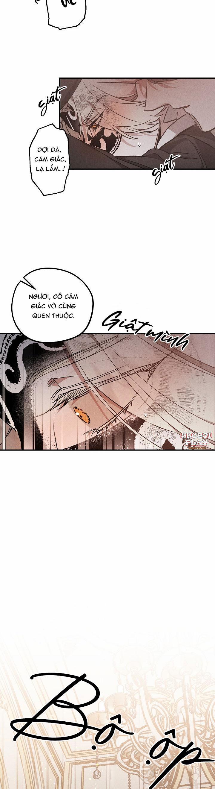 Khu Vườn Hoa Lavender 2 trang 7