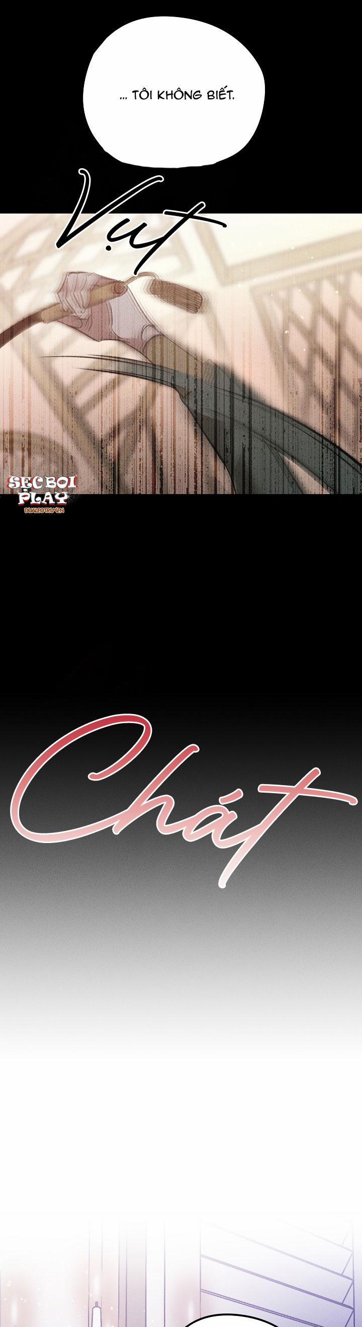 Khu Vườn Hoa Lavender 3 trang 10