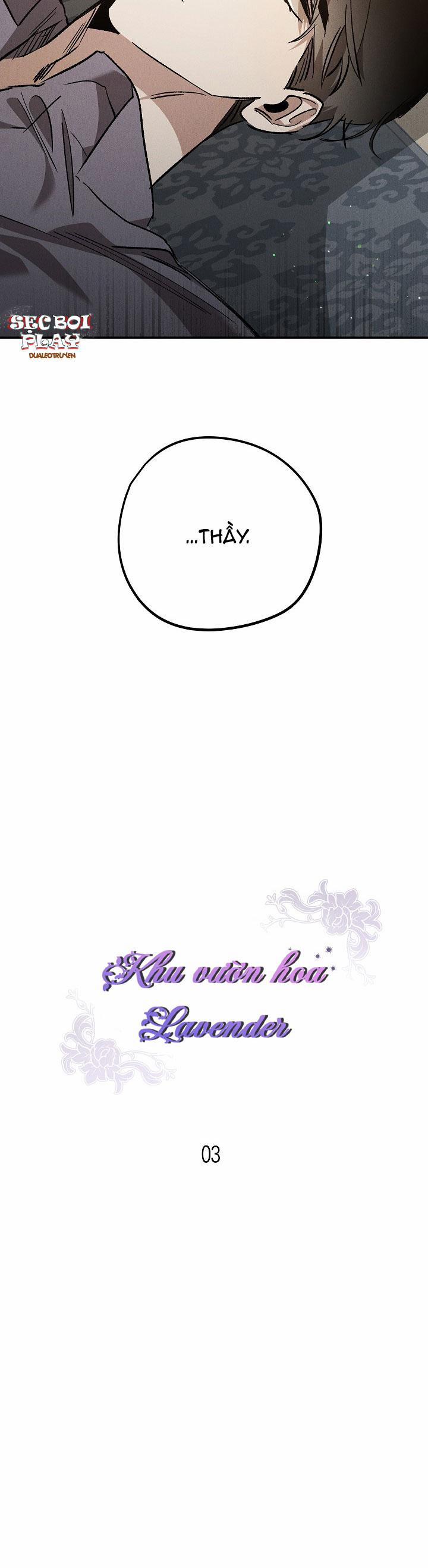 Khu Vườn Hoa Lavender 3 trang 18