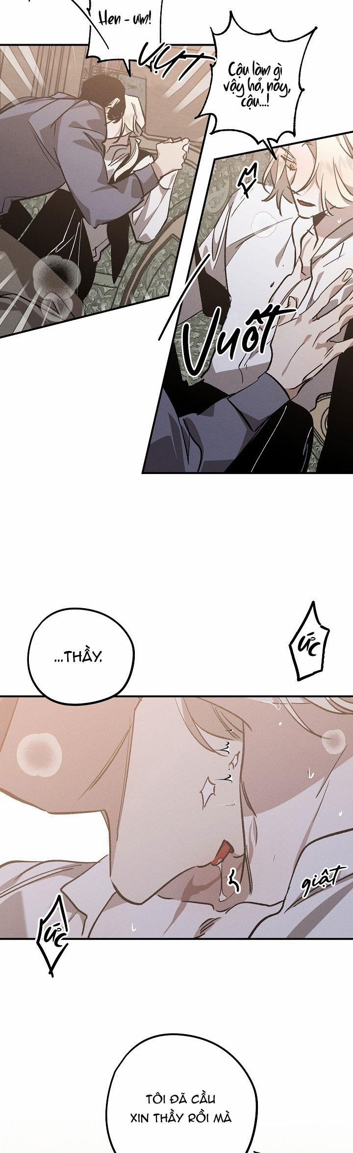 Khu Vườn Hoa Lavender 3 trang 28