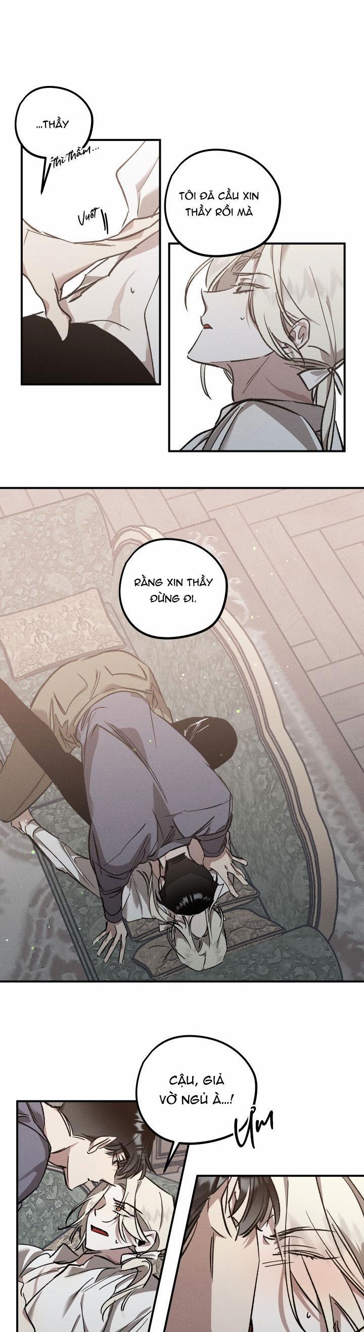 Khu Vườn Hoa Lavender 4 trang 0